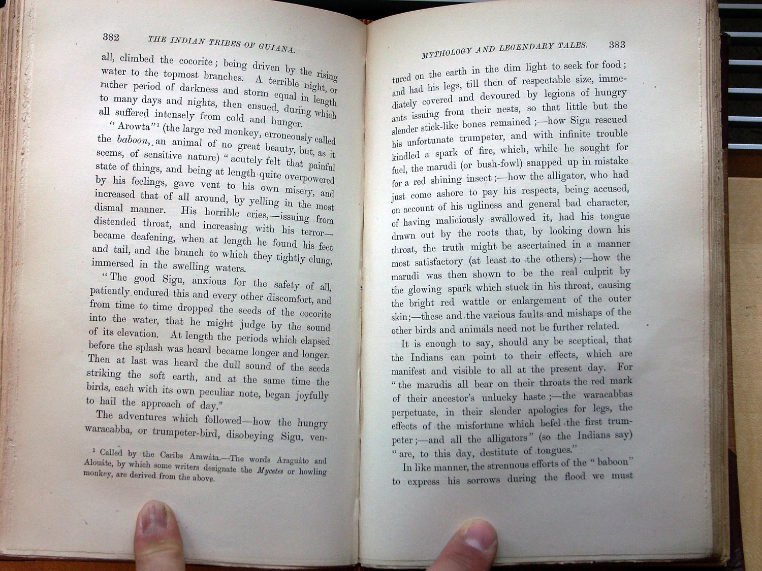 zz-bret68,s.382 mycetes affe arawata wacaba trompeter psophia